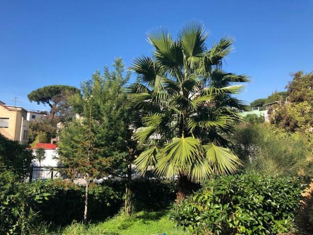 La Ville Τόρρε ντελ Γκρέκο Εξωτερικό φωτογραφία